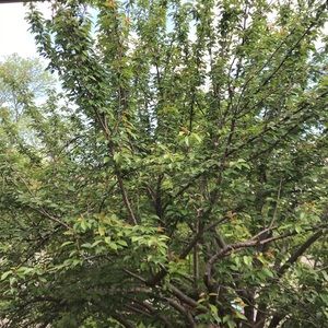 Meet your Posher, Srecko